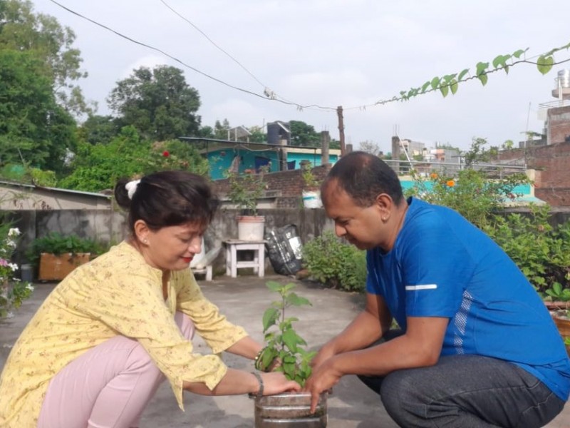 पतञ्जली योग समिति द्वारा घरघरमा जडिबुटिका बिरुवा रोपेर जडिबुटि दिवस मनाईयो
